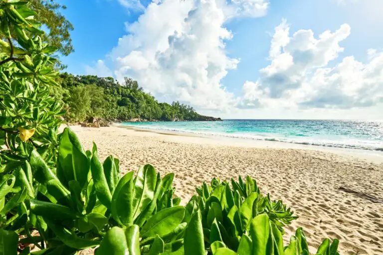 Best Beaches in Seychelles