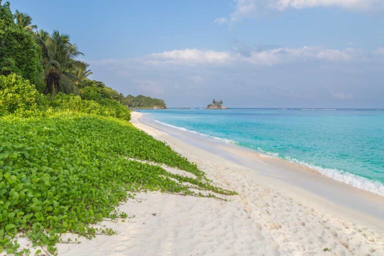 14 Top-Rated Beaches in Seychelles