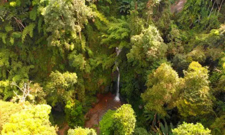 12 Top Rated Tourist Attractions in Chiang-Mai