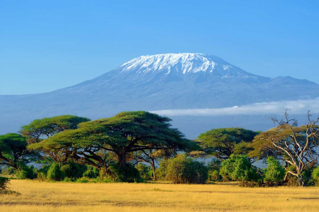 15 Top-Rated Tourist Attractions in Tanzania