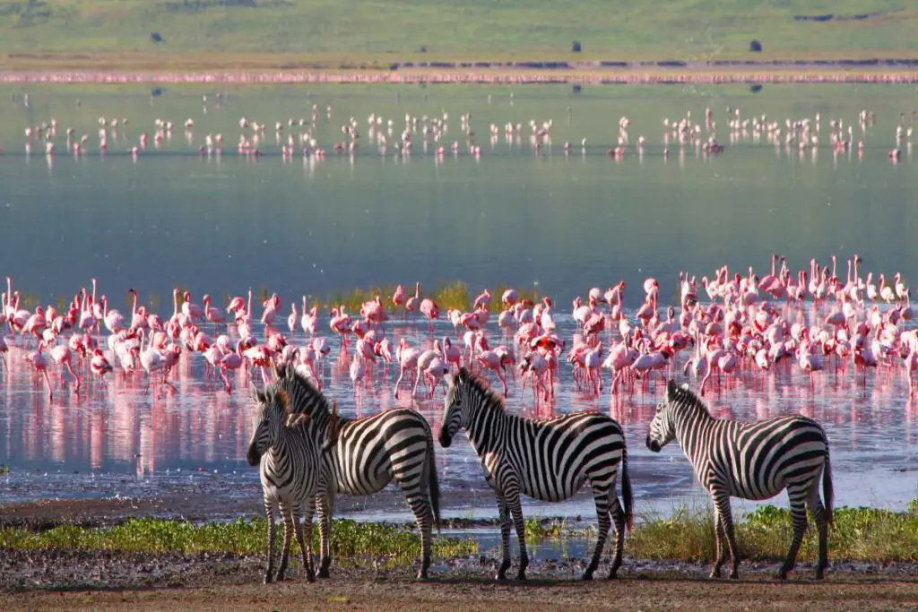 Best & Fun Things To Do In Tanzania