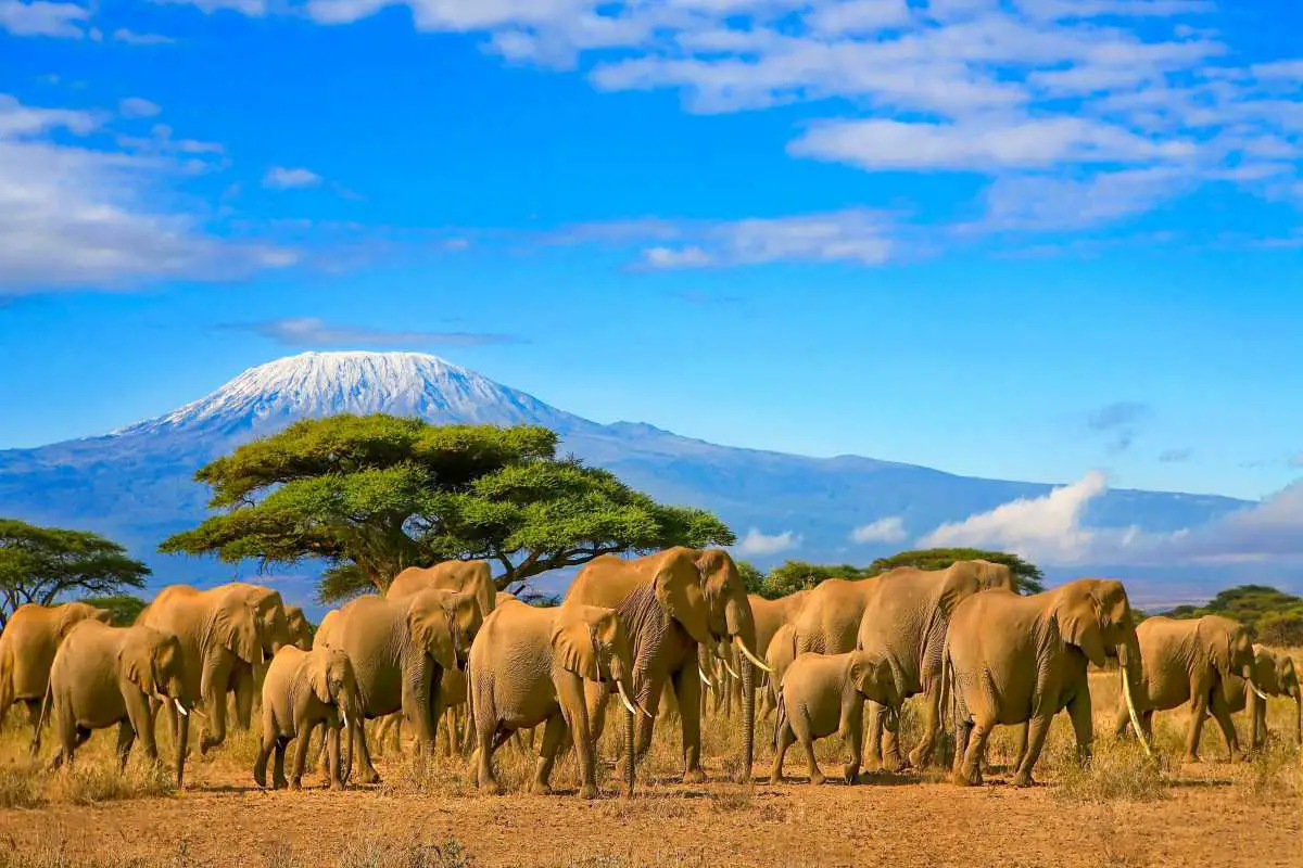 tourist destinations tanzania