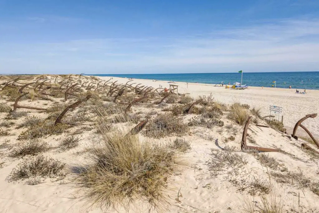 Best Beaches in Algarve