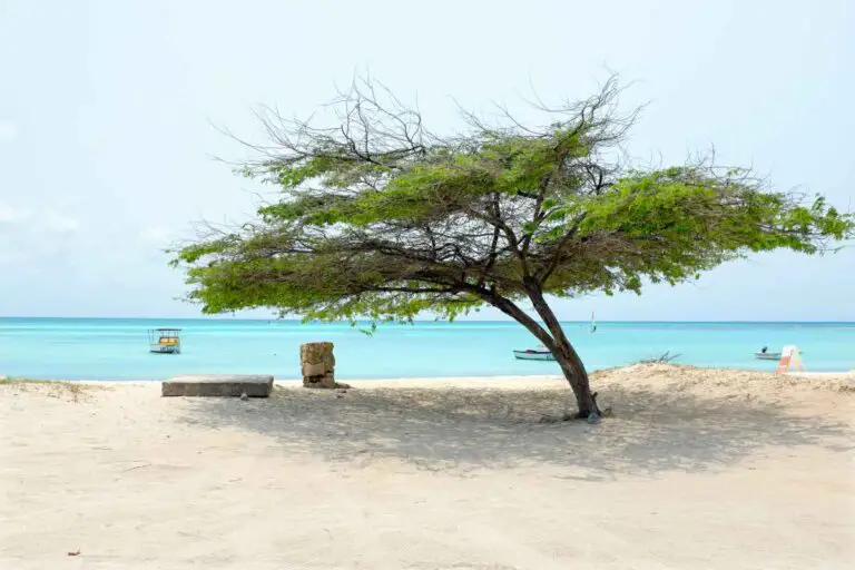 11 Best Beaches In Aruba
