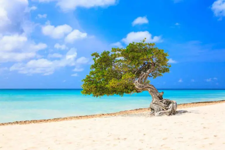 Best Beaches In Aruba