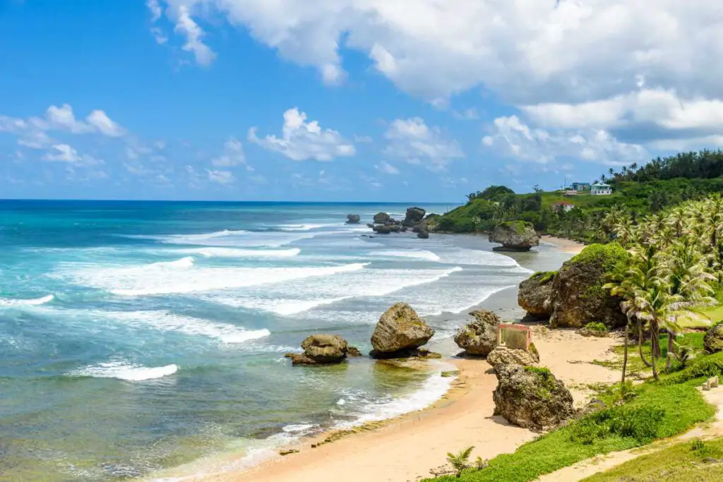 Best & Fun Things To Do In Barbados