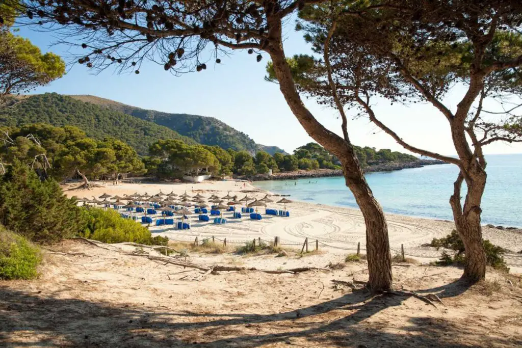 Best Beaches in Mallorca