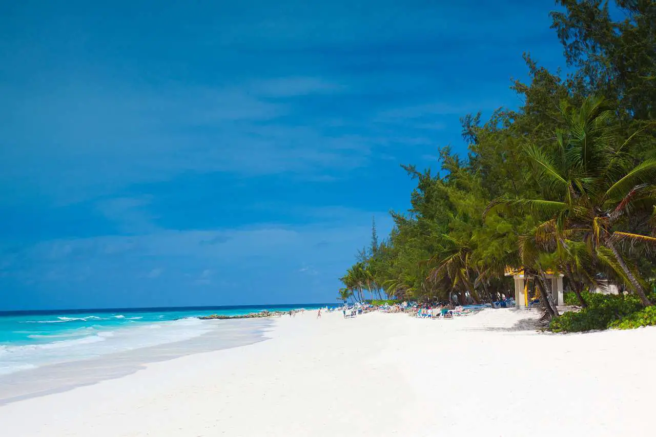 Best Time to Visit Barbados