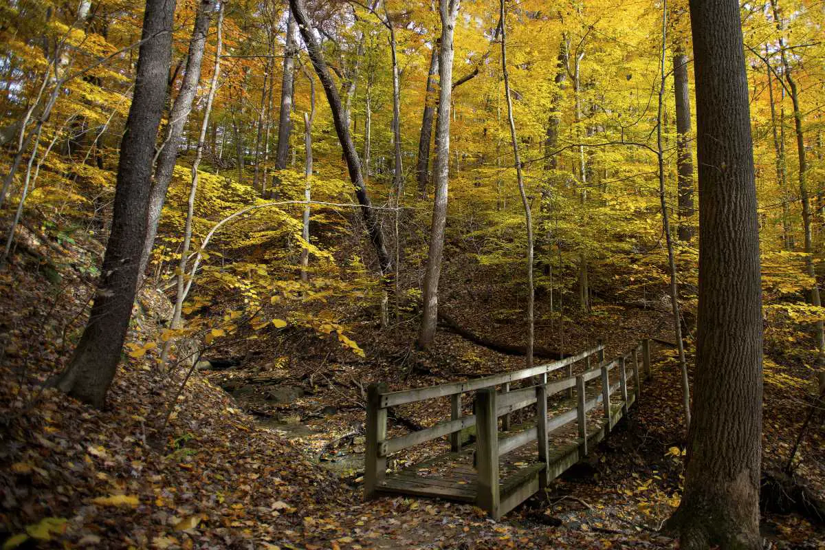 12 Top-Rated Hiking Trails near Columbus, OH