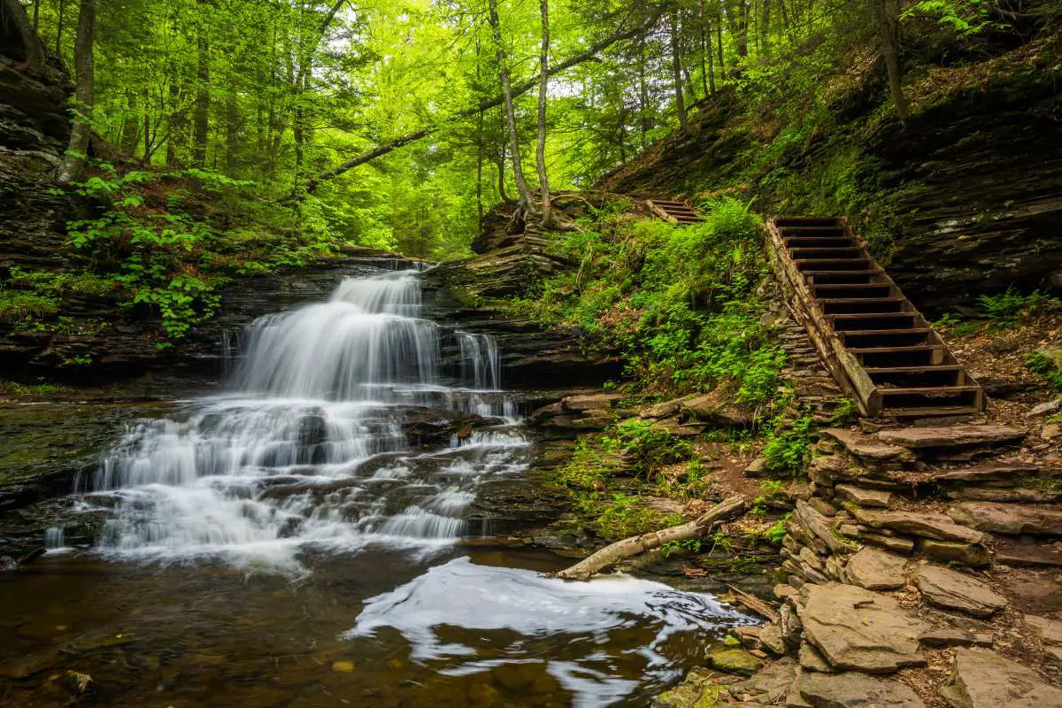 12 Top-Rated National and State Parks in Pennsylvania