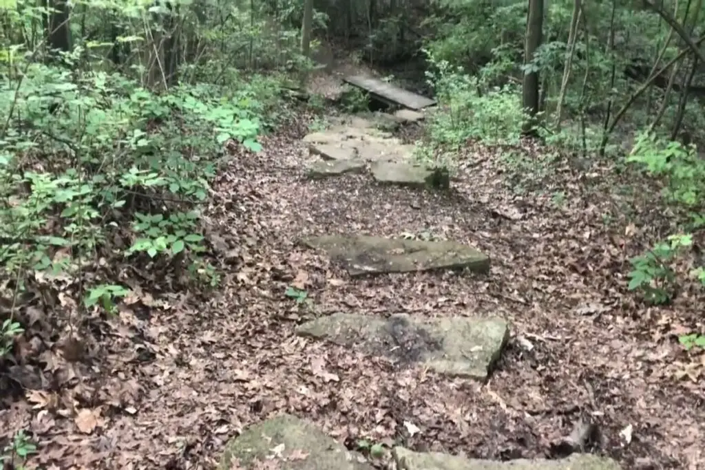 Best Hiking Trails Near Columbus, OH