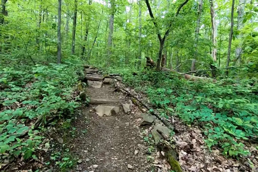 Best Hiking Trails Near Columbus, OH