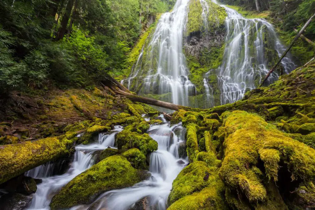 15 Best Waterfalls in Oregon - Holiday Parrots