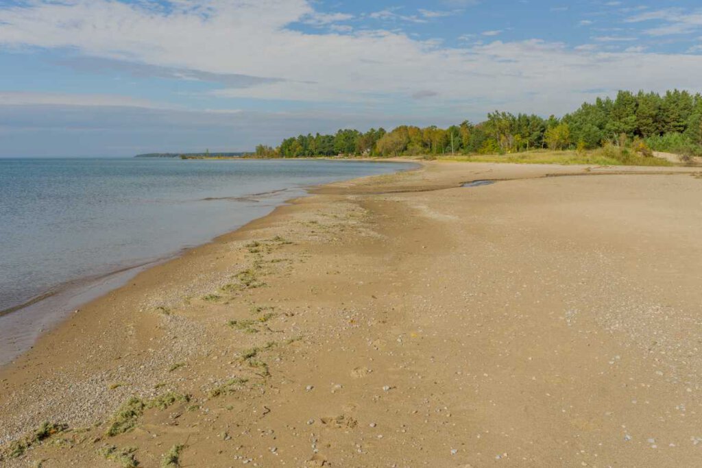 Best Beaches In Ontario