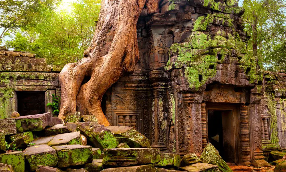 Best & Fun Things to Do in Siem Reap (Cambodia)