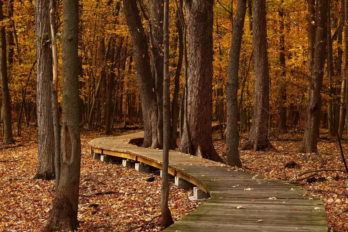 Best Hiking Trails In Pennsylvania