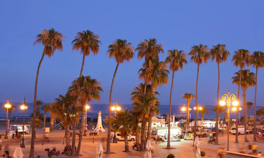 Best & Fun Things To Do In Larnaca