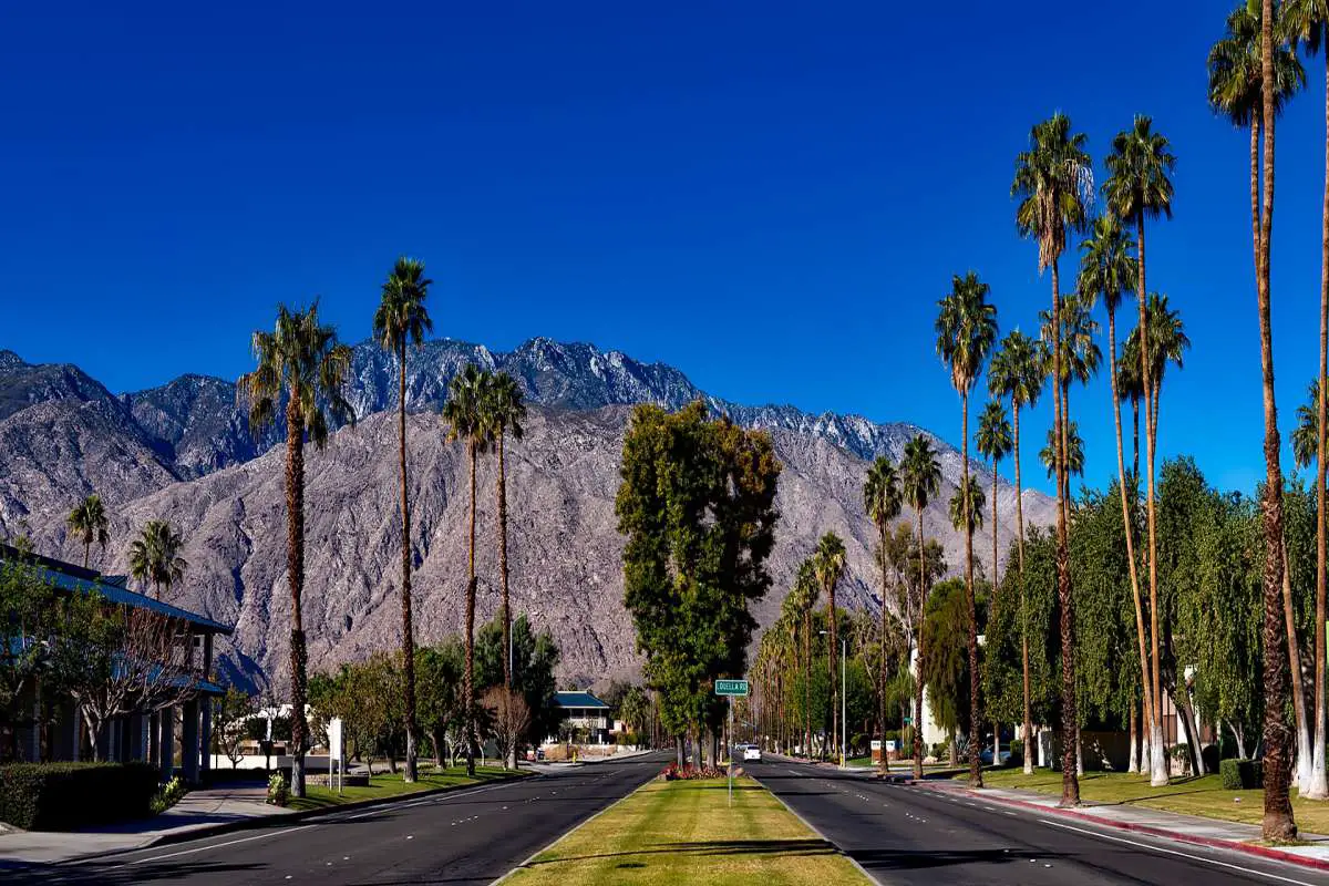 Best & Fun Things To Do In Palm Springs (California)