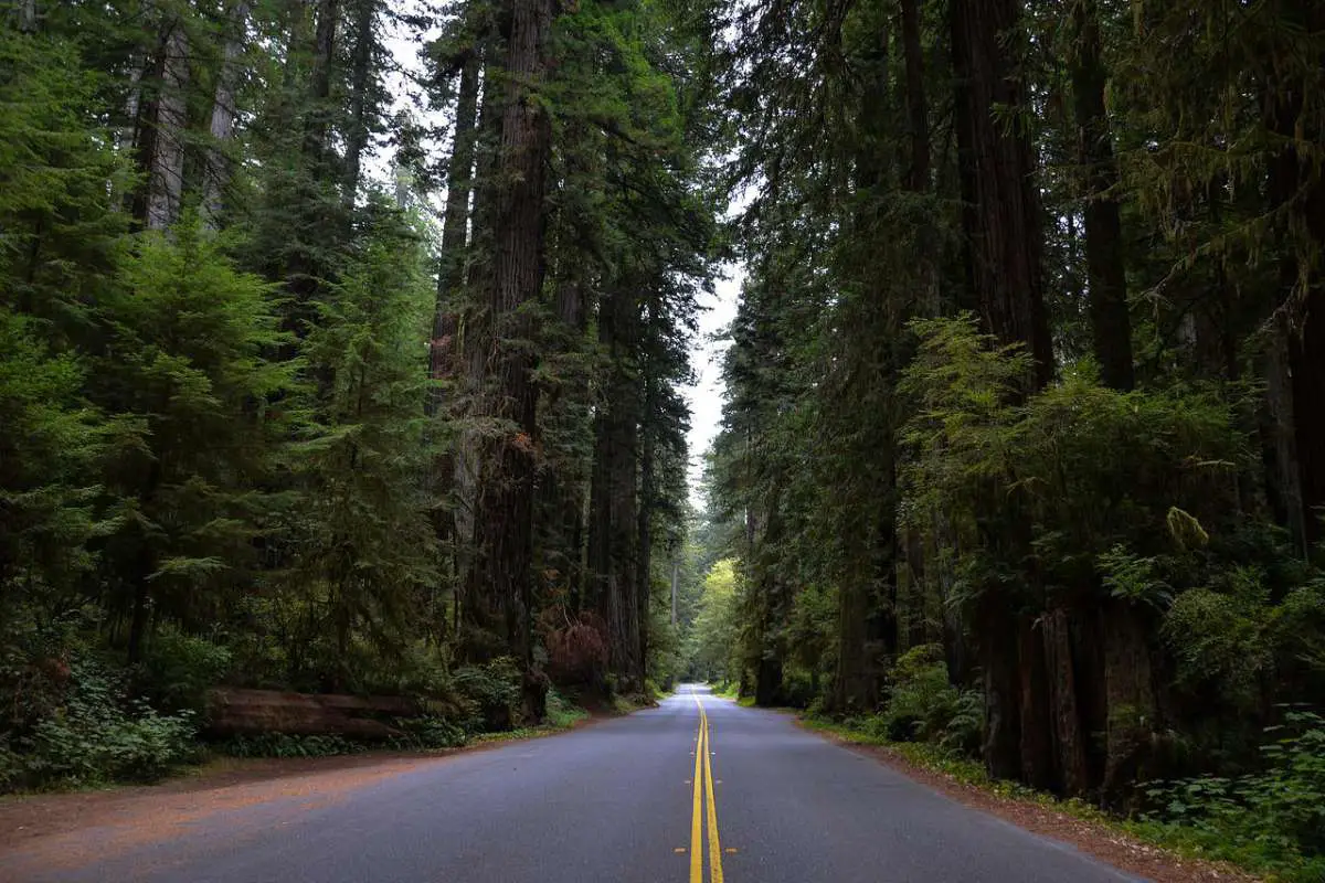 15 Best State Parks in California