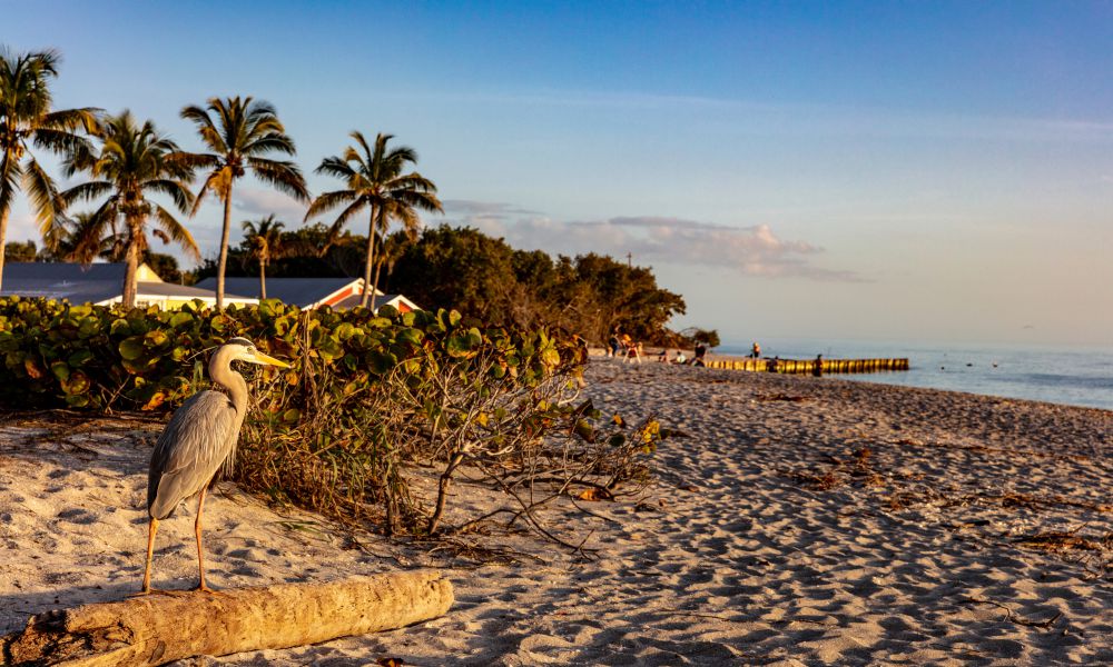 Best Beaches on Sanibel Island, FL