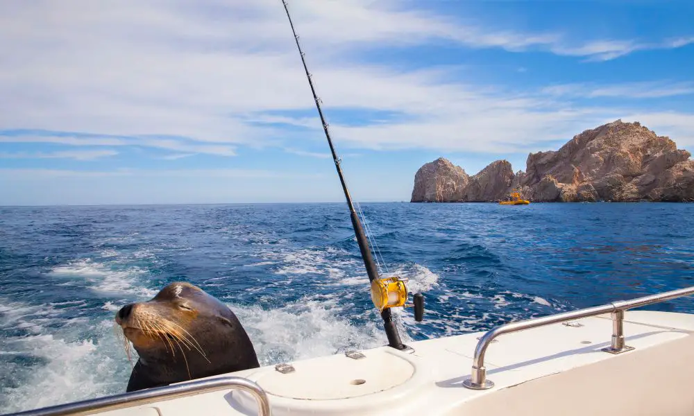 Best & Fun Things To Do In Cabo San Lucas Mexico