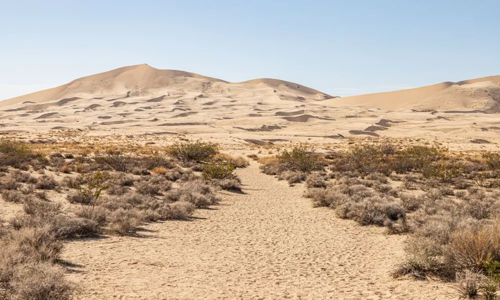 Best & Fun Things To Do In The California Desert Region