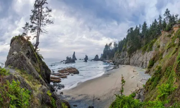 14 Best Beaches In Washington - Holiday Parrots