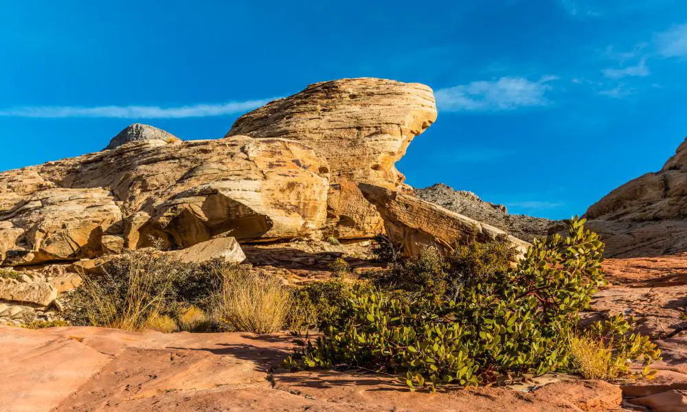 Top-Rated Hiking Trails Near Las Vegas, Nevada
