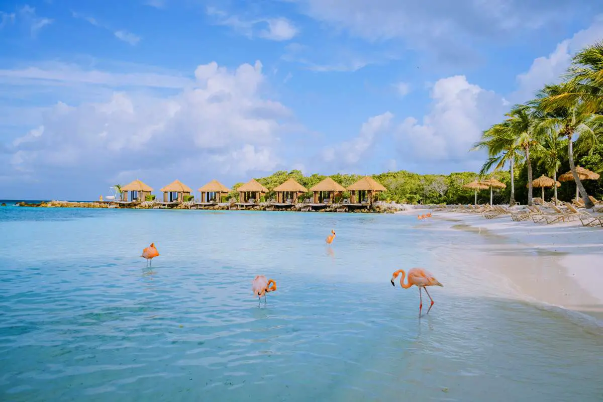 13 Top-Rated Things to do in Aruba| Attractions, and Activities