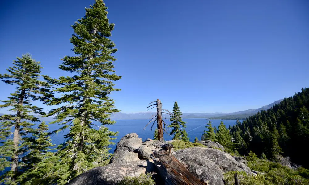 Best & Fun Things To Do In Lake Tahoe