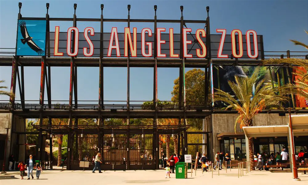 Best & Fun Things To Do In Hollywood, California