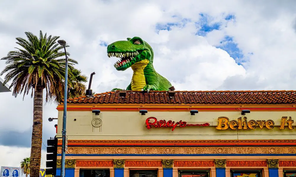 Best & Fun Things To Do In Hollywood, California