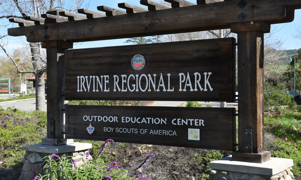 Best & Fun Things To Do In Irvine (California)
