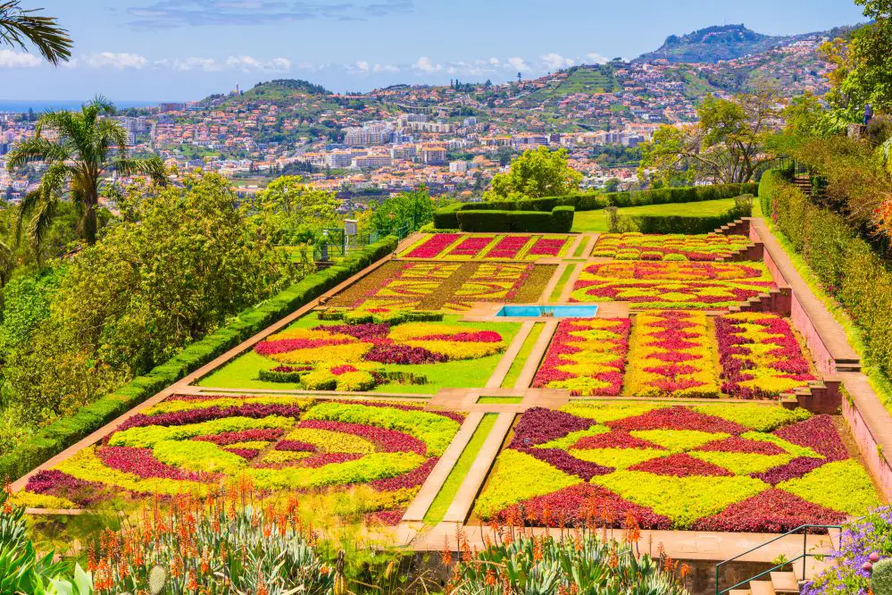 Strolling Through Madeira Botanical Garden