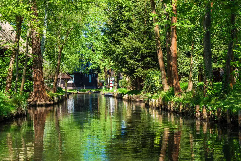 Spreewald Forest, Germany