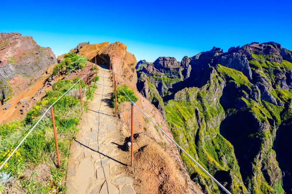 Trekking The Areeiro Trail