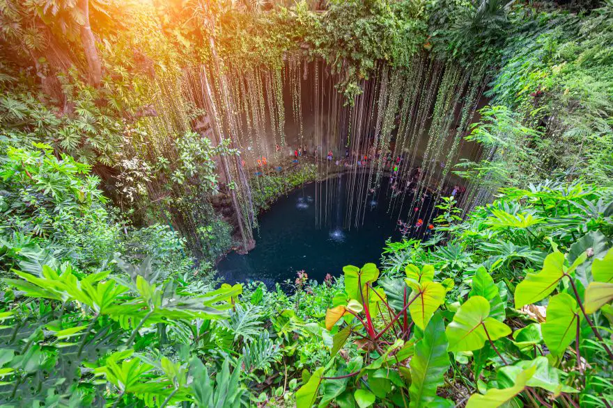 Visit the area's famous Cenotes