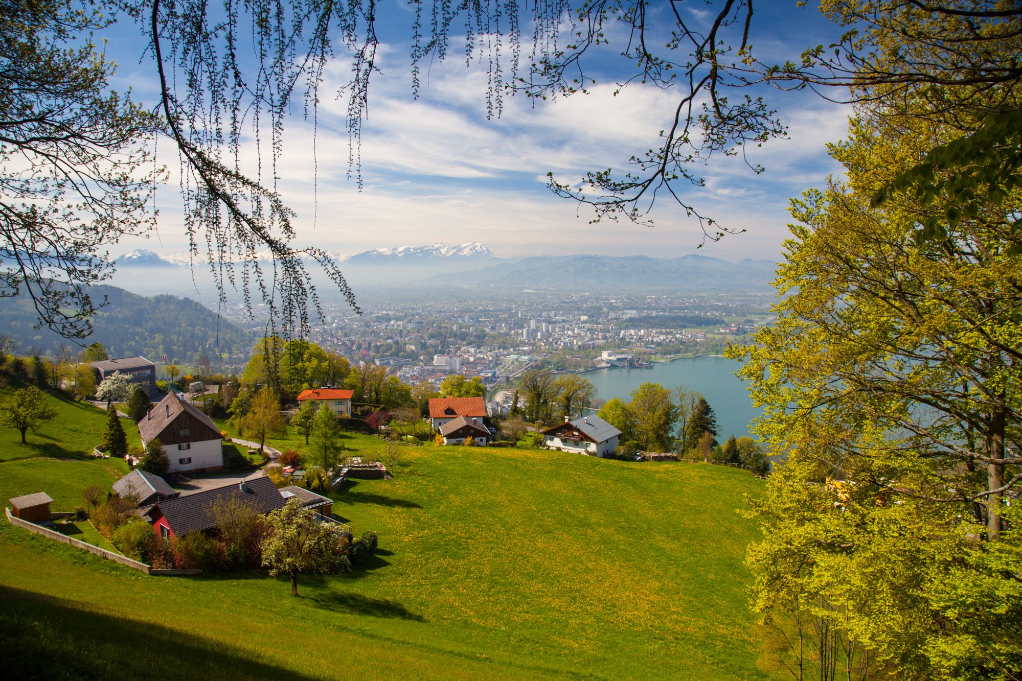 Best Tourist Attractions & Things To Do In Bregenz