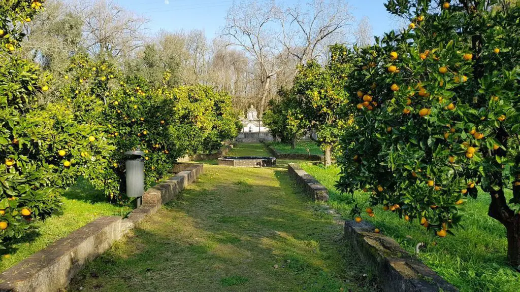 Quinta Da Ribafria