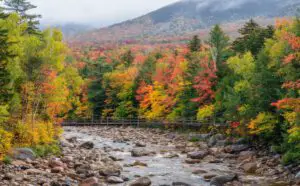 Why Millions Of Tourists Flock To This Northeastern State In The Fall